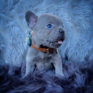 Lola