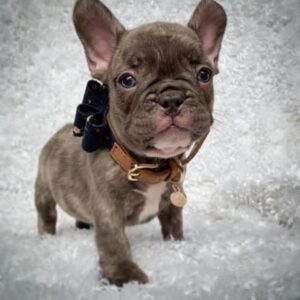 Charlie