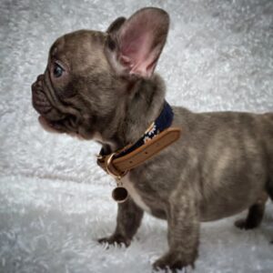 Charlie