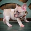 Frankie