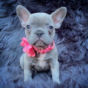 Lilah