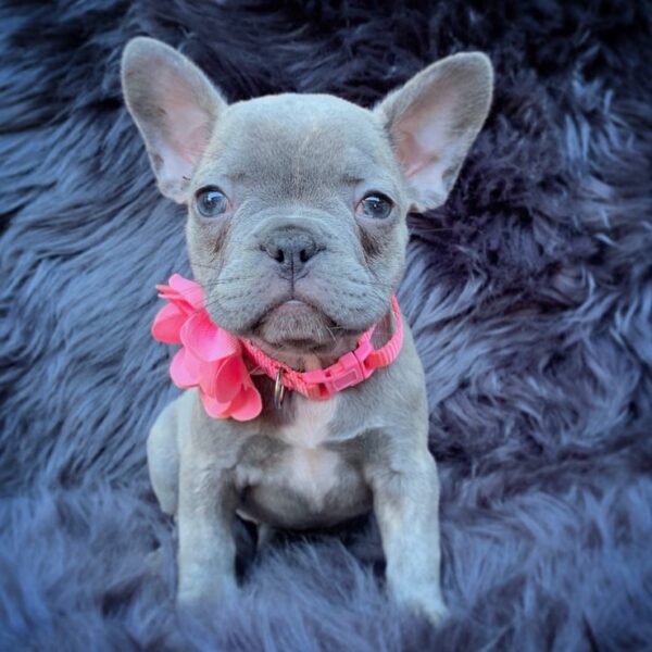 Lilah