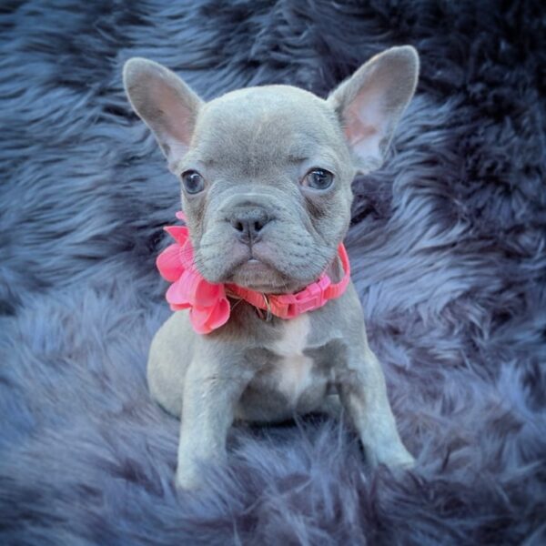 Lilah