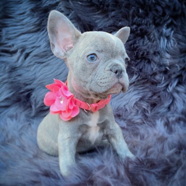 Lilah