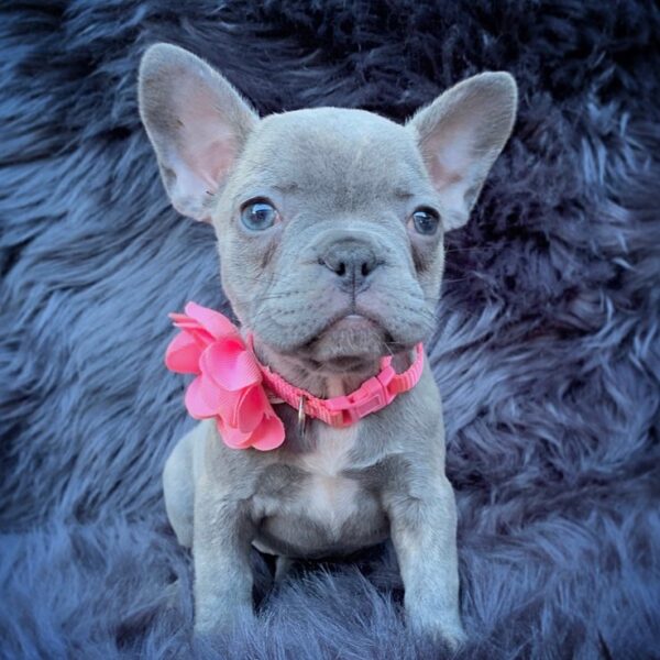 Lilah