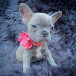 Lilah