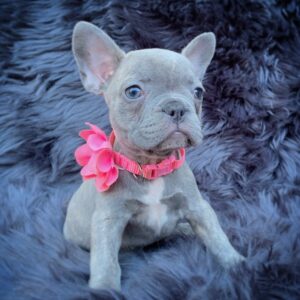 Lilah